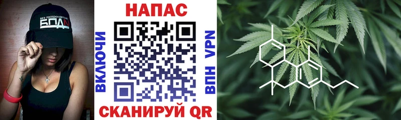 Где продают наркотики Можга Кодеин  Alpha PVP  Мефедрон  Cocaine  Канабис  АМФЕТАМИН  Псилоцибиновые грибы 