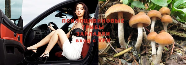 кокс Аркадак